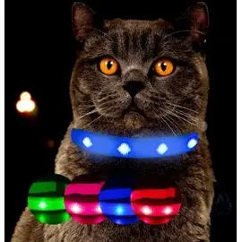 petsation Leuchtendes Katzenhalsband blau