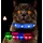 petsation Leuchtendes Katzenhalsband blau