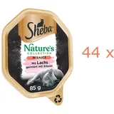 Sheba Nature's Collection in Sauce mit Lachs 44 x 85 g
