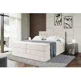 altdecor Boxspringbett mit Matratze Topper, Polsterbett mit Bettkasten AMAY-BZ KING | Beige Casablanca | 140x200