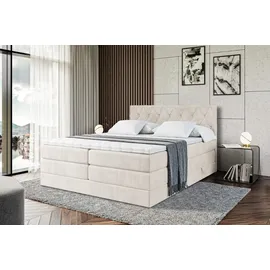 altdecor Boxspringbett mit Matratze Topper, Polsterbett mit Bettkasten AMAY-BZ KING | Beige Casablanca | 140x200