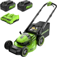 Greenworks 48V MO48L424-01 inkl. 2 x 4,0 Ah