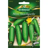 Quedlinburger Saatgut Mini Snackgurke, Picolino F1