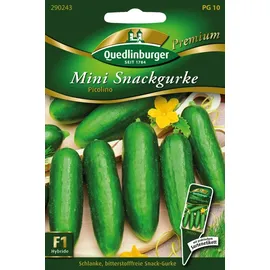 Quedlinburger Saatgut Mini Snackgurke, Picolino F1