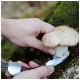 Dönges Pilzmesser Silber