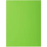 Exacompta 210013E Sammelmappe Karton Grün