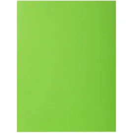 Exacompta 210013E Sammelmappe Karton Grün