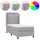 vidaXL Boxspringbett 100 x 200 cm Hellgrau