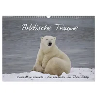 Calvendo Arktische Träume - Eisbären in Kanada (Wandkalender 2026