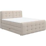 Cotta Boxspringbett COTTA "Fort mit Bettkasten, inkl. Topper", beige, B:161cm L:228cm, 100% POLYESTER (PES), Komplettbetten, Boxspringbett, erhältlich in verschiedenen Breiten (160cm, 180cm & 200cm), Topseller