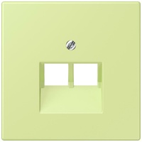 Jung Abdeckung für IAE/UAE LC 969-2 UA 222