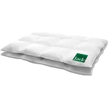HANSKRUCHEN Hanskruchen, Duvet, Jade 720 g, Daune, 135 x 200 cm)