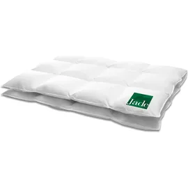 HANSKRUCHEN Hanskruchen, Duvet, Jade 720 g, Daune, 135 x 200 cm)