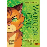Beltz Warrior Cats - Die Prophezeiungen beginnen: Graphic Novel