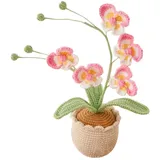 Magicherry Handgefertigte gehäkelte Phalaenopsis-Orchidee Topfpflanzen gestrickte künstliche Orchidee Phalaenopsis Blumen mit exquisitem Topf für Weihnachten Geburtstag Abschluss Geschenke für Frauen
