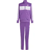 adidas Tiberio Trainingsanzug Active Purple/White 164