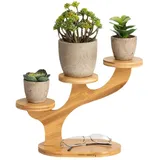 Imtrub Pflanzenständer Pflanzenregal Blumenregal Indoor Outdoor -3-stöckiger -Tischständer aus für Sukkulenten, Desktop-Fensterbank, Pflanzen-, Blumenregal, Topfregal