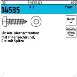 Reyher Linsenblechschraube ISO 14585 ISR 6,3x 45 -C A 2 T30 250 Stück