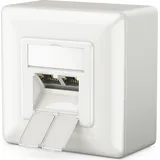 deleyCON 1x CAT6 Universal Netzwerkdose - 2x RJ45 Port - Geschirmt - Aufputz oder Unterputz - 1 Gigabit Ethernet Netzwerk - EIA/TIA 568A&B - Weiß