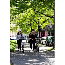 Yedoo Scooter Yedoo Mula Y40 Tretroller mit Luftreifen 20/16 Silber