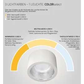 dotlux LED-Downlight 19W rund 1900lm 3000K