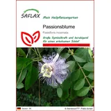 SAFLAX - Heilpflanzen - Passionsblume - 5 Samen - Passiflora incarnata