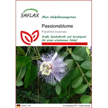 SAFLAX - Heilpflanzen - Passionsblume - 5 Samen - Passiflora incarnata