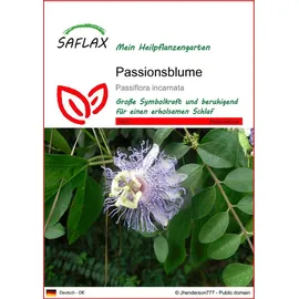 SAFLAX - Heilpflanzen - Passionsblume - 5 Samen - Passiflora incarnata