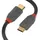 Lindy USB-C 5 m Grau/Schwarz