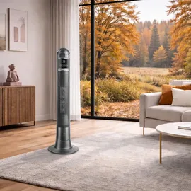 Webber Keramikheizkörper 2200 W Grau