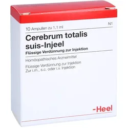 Cerebrum totalis suis-Injeel
