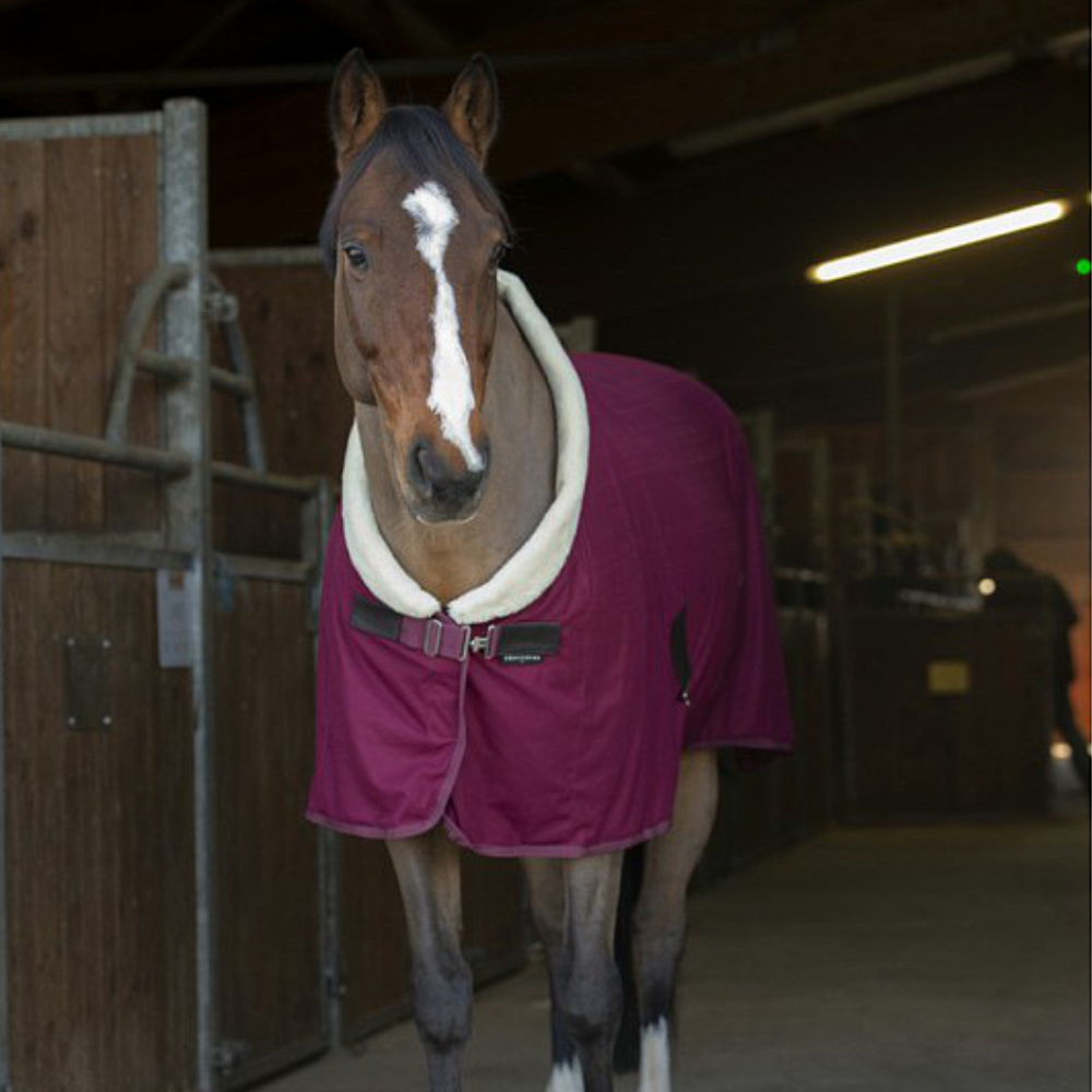 Equithème Teddy Abschwitzdecke, 6'9