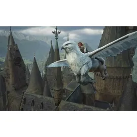Warner Hogwarts Legacy (Nintendo Switch 2)