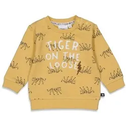 FEETJE 5160190474 Sweater AOP - Hey Tiger Gr. 74