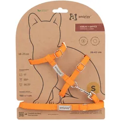 Amiplay Geschirr + Leine für Samba Katze M Orange