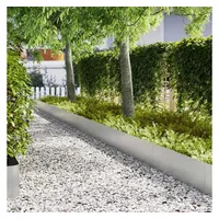 vidaXL Rasenkanten 100 x 0,05 x 30 cm 30 Stück Silber