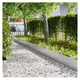 vidaXL Rasenkanten 100 x 0,05 x 30 cm 30 Stück Silber