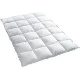 Schlafbio Gänsedaunenbettdecke Winter Gänsedaunen Bettdecke Megawarm 135x200, Füllung: 90% Gänsedaunen, 10% Gänsefedern, Bettdecke, Daunendecke, 135x200, Winter, Allergiker, Oberbett weiß