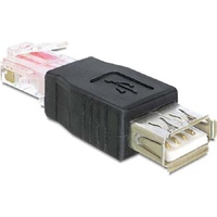 DeLock USB - RJ45 USB 2.0), Schwarz