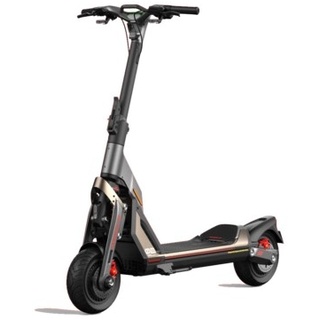 Segway-Ninebot KickScooter GT2P schwarz