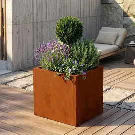casa.pro Vaargel 60 x 60 x 60 cm Braun