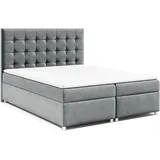 Best For Home Trinity K-9 200 x 200 cm Grau