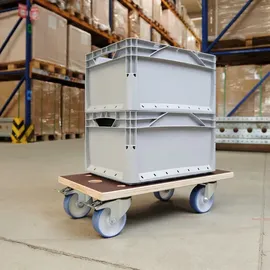 Wagner System Wagner System, Transportwagen, »MM«, 1341 500 kg)