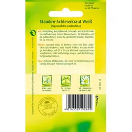 Quedlinburger Saatgut Stauden-Schleierkraut 'Weiss' Quedlinburger Blumensamen