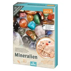 Moses Expedition Natur Das große Mineralien-Ausgrabungs-Set
