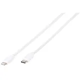 Vivanco Männlich Gerade Lightning auf USB C 2 m (Weiß)
