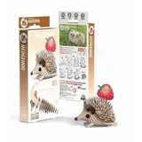 Eugy 3D Bastelset Igel
