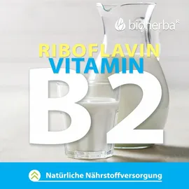 Bioherba Goji Beeren Kapseln 60 St.