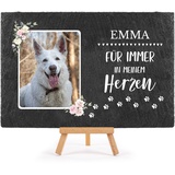 PfotenSchild Schieferplatte Gedenktafel für Hund & Katze - mit Foto und Name Bedrucken - Für Immer in Meinem Herzen - Tiergrabstein, wetterfest - Schiefertafel 20x30cm I personalisiert