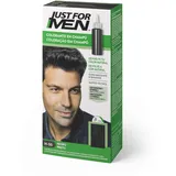 Just For Men Tinte Colorante en Gel, Coloración Masculina, Cubre Las Canas, Devuelve Tu Color Original Para Una Apariencia Natural - Tono Negro, H55